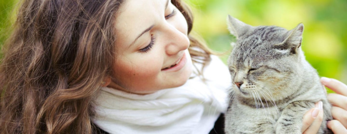 Mon chat urine beaucoup et partout pourquoi ? Purina